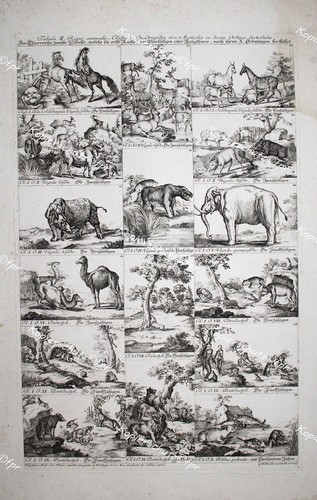 Gottlieb riedel cavalli tavolo - gottlieb,